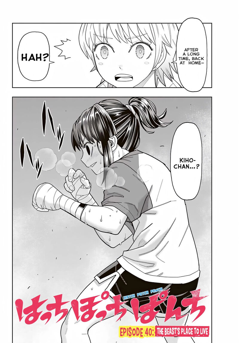 Hatch Potch Panch 40 3