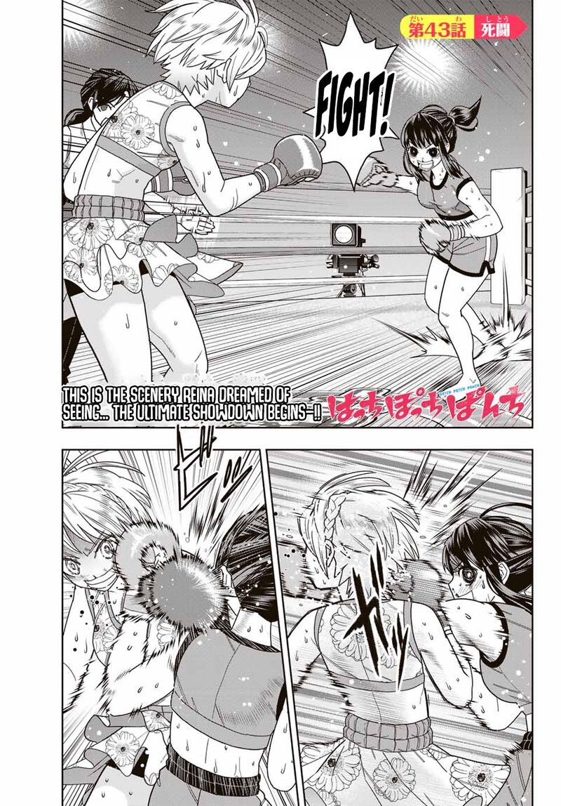 Hatch Potch Panch 43 2