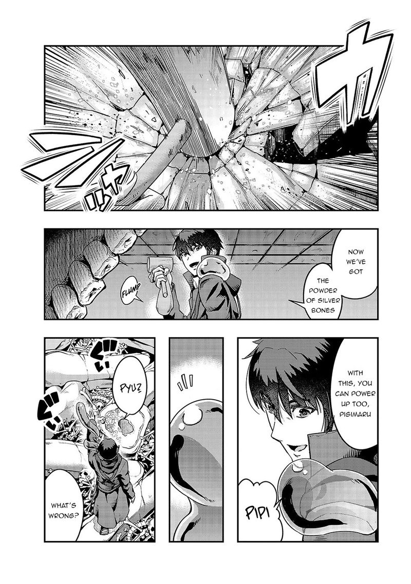 Hazure Waku No Joutai Ijou Skill De Saikyou Ni Natta Ore Ga Subete Wo Juurin Suru Made 13 20
