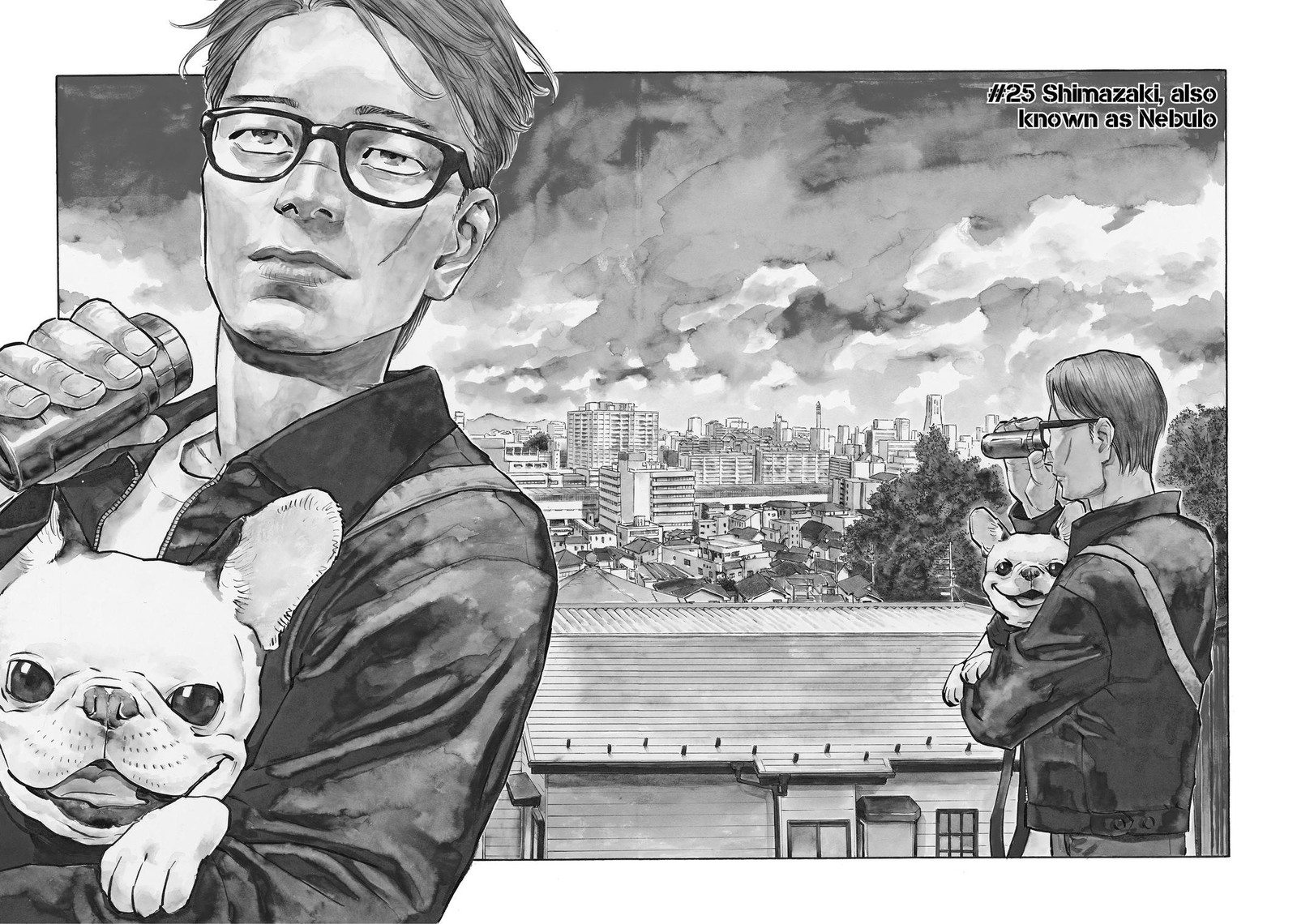 Heiwa No Kuni No Shimazaki E 25 2