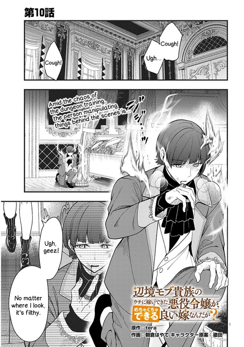 Henkyo Mob Kizoku No Uchi Ni Totsuidekita Akuyaku Reijo Ga Mechakucha Dekiru Yoi Yome Nanda Ga 10 1