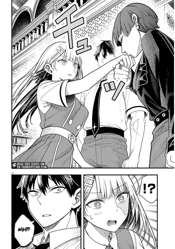 Henkyo Mob Kizoku No Uchi Ni Totsuidekita Akuyaku Reijo Ga Mechakucha Dekiru Yoi Yome Nanda Ga 13a 14