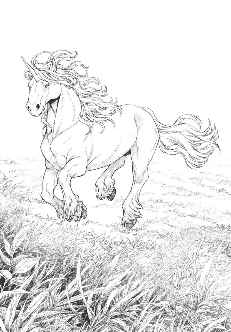 Henkyou No Roukishi Bard Loen 33 13