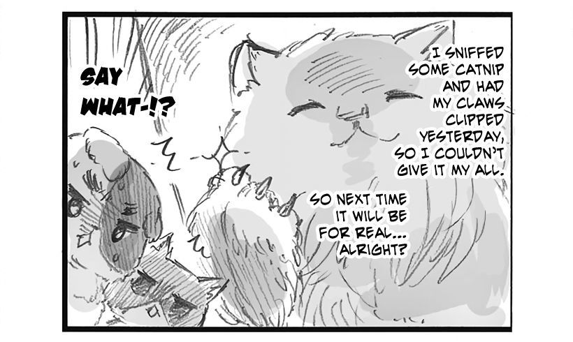 Hetalia World Stars 253 2