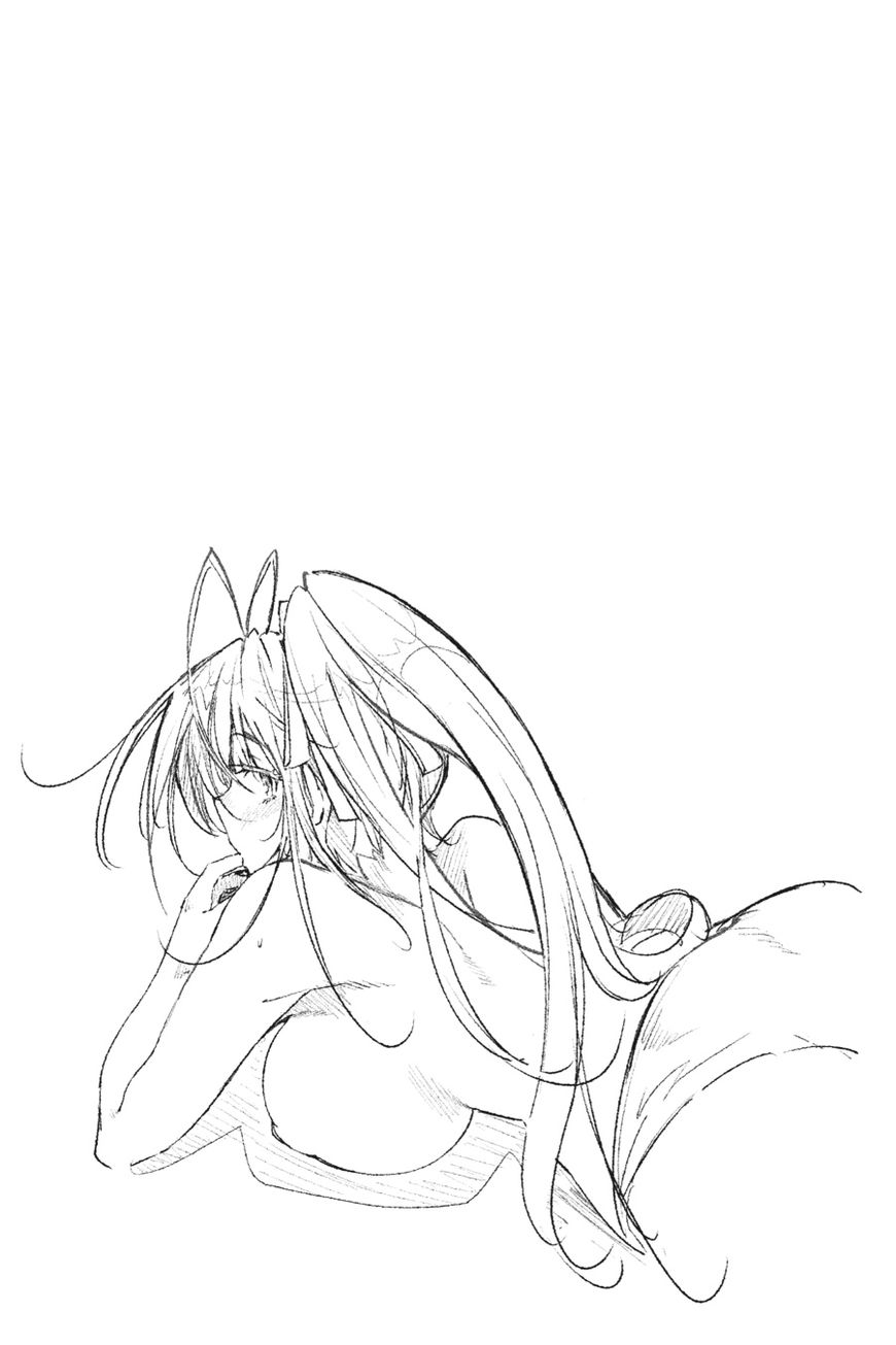 Highschool Dxd 60 21