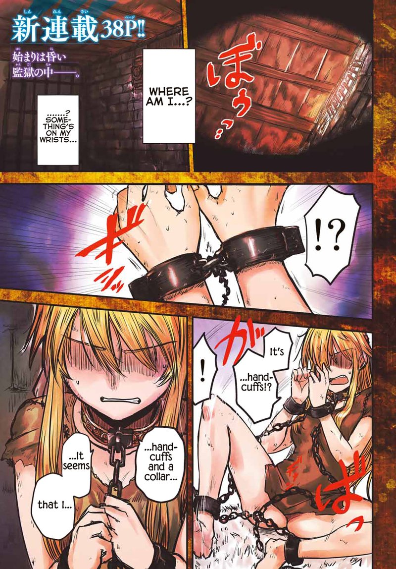 Hime Kishi Wa Barbaroi No Yome 1 1