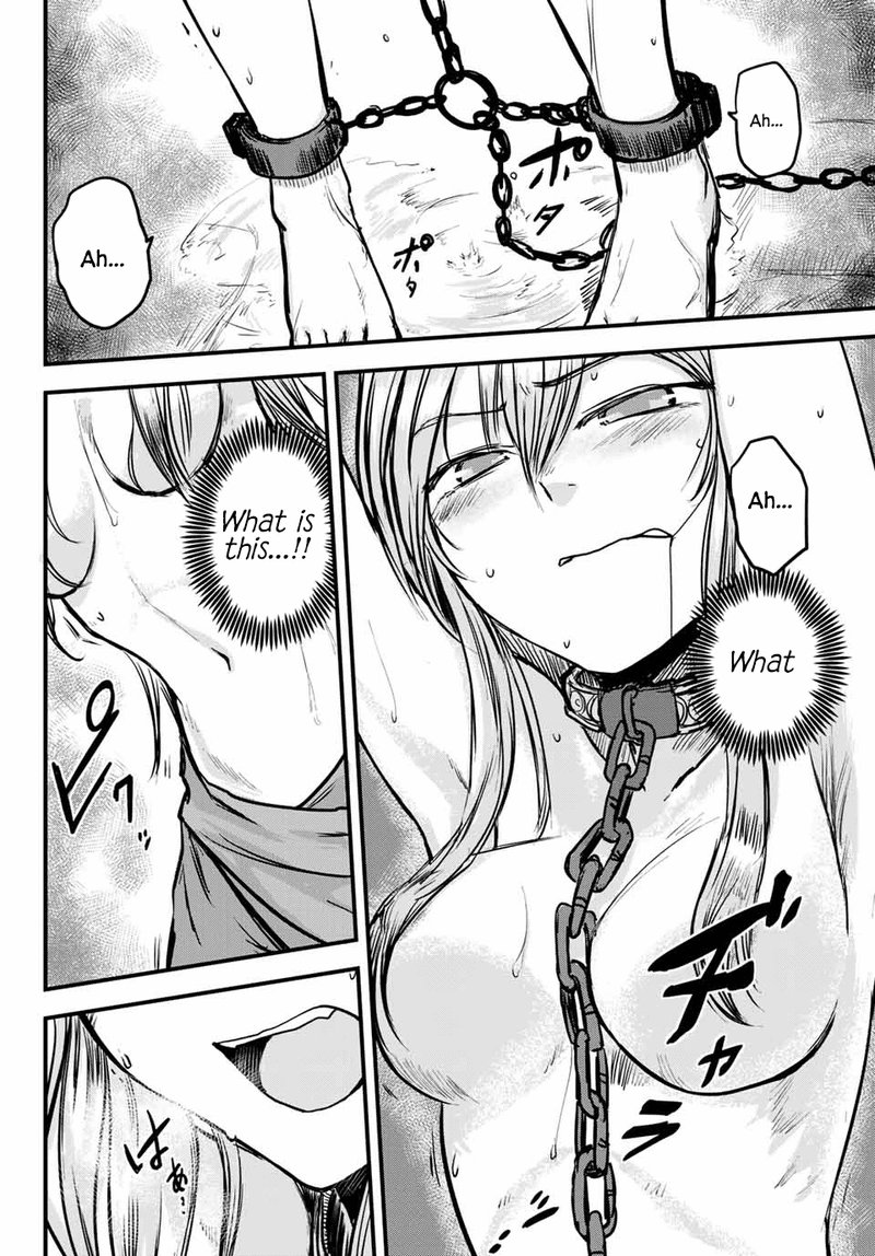 Hime Kishi Wa Barbaroi No Yome 1 18