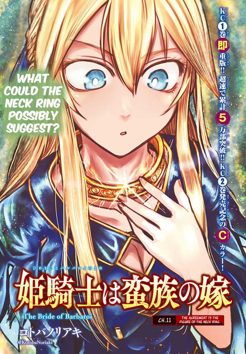 Hime Kishi Wa Barbaroi No Yome 11 2