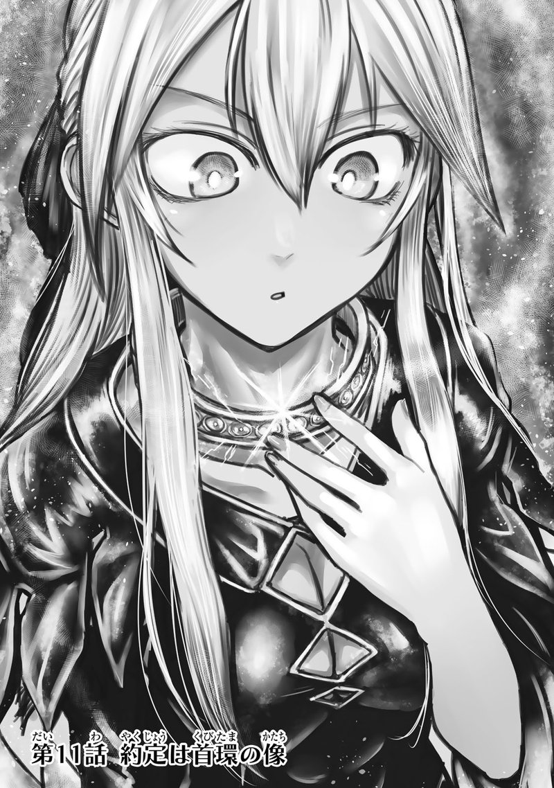 Hime Kishi Wa Barbaroi No Yome 11 3