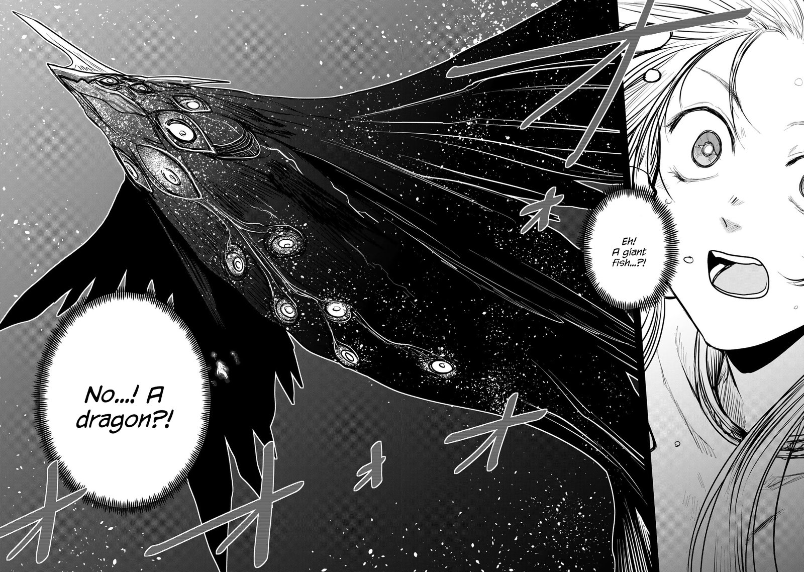 Hime Kishi Wa Barbaroi No Yome 13 2