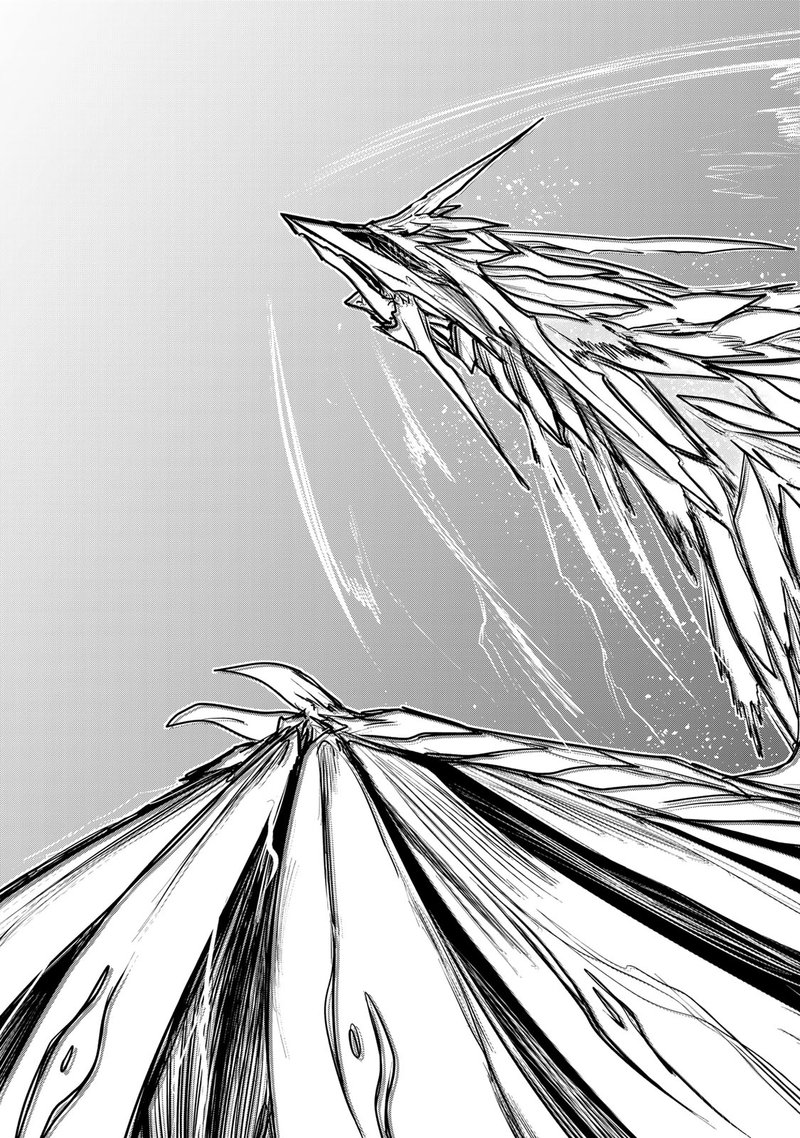 Hime Kishi Wa Barbaroi No Yome 16 35