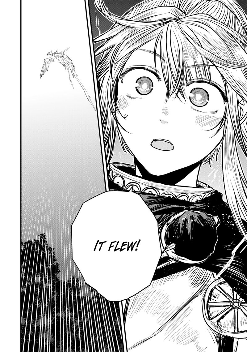 Hime Kishi Wa Barbaroi No Yome 16 36