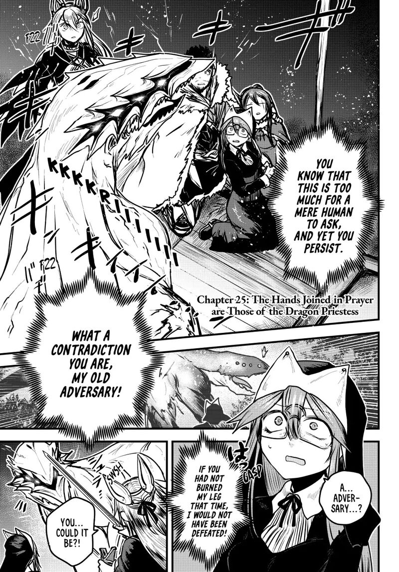 Hime Kishi Wa Barbaroi No Yome 25 1