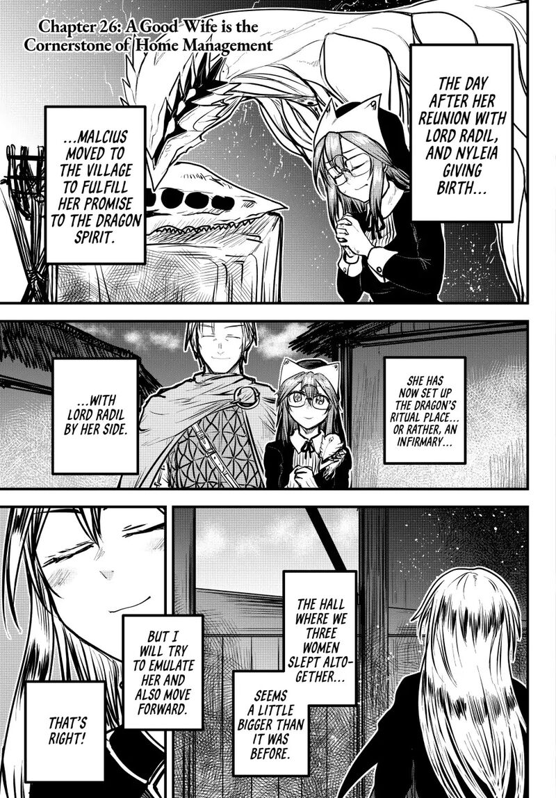 Hime Kishi Wa Barbaroi No Yome 26 2