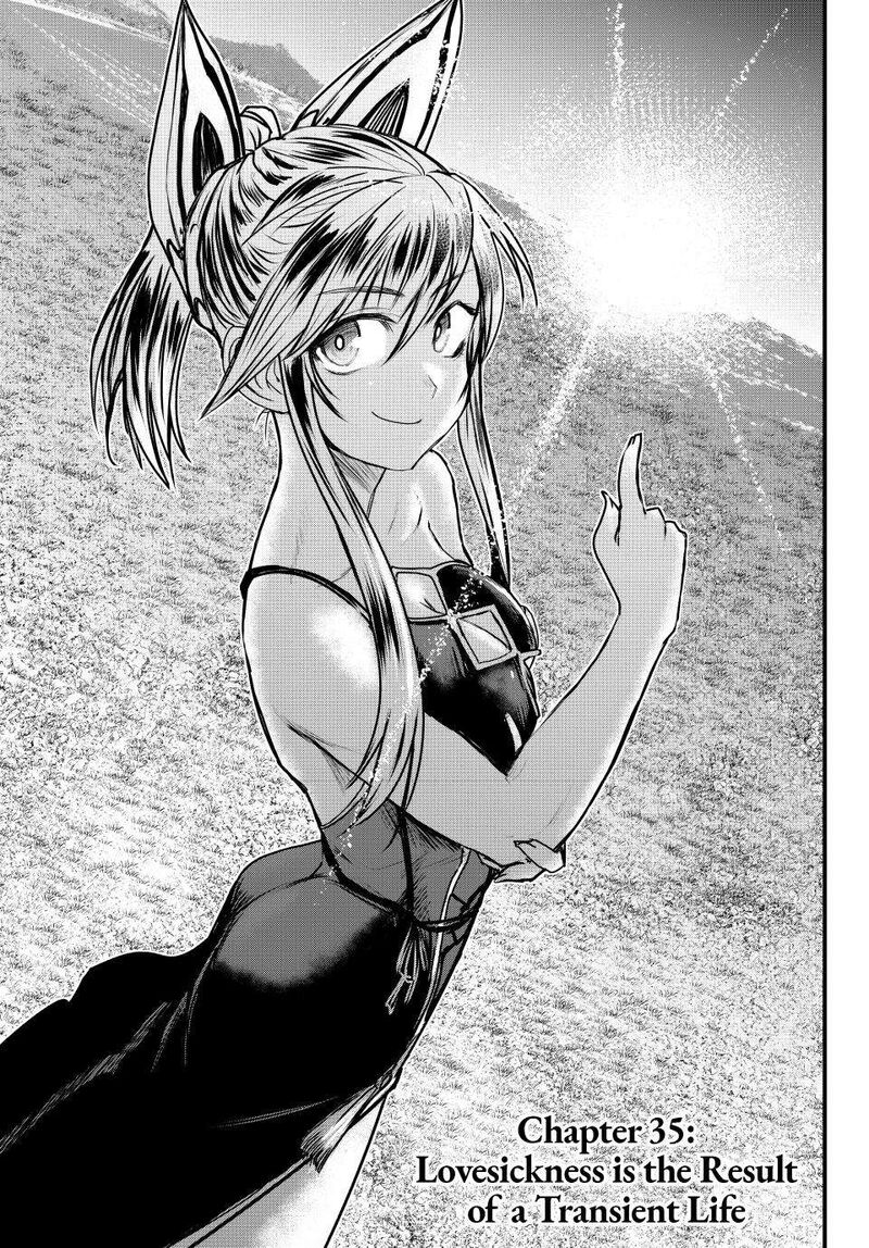 Hime Kishi Wa Barbaroi No Yome 35 1