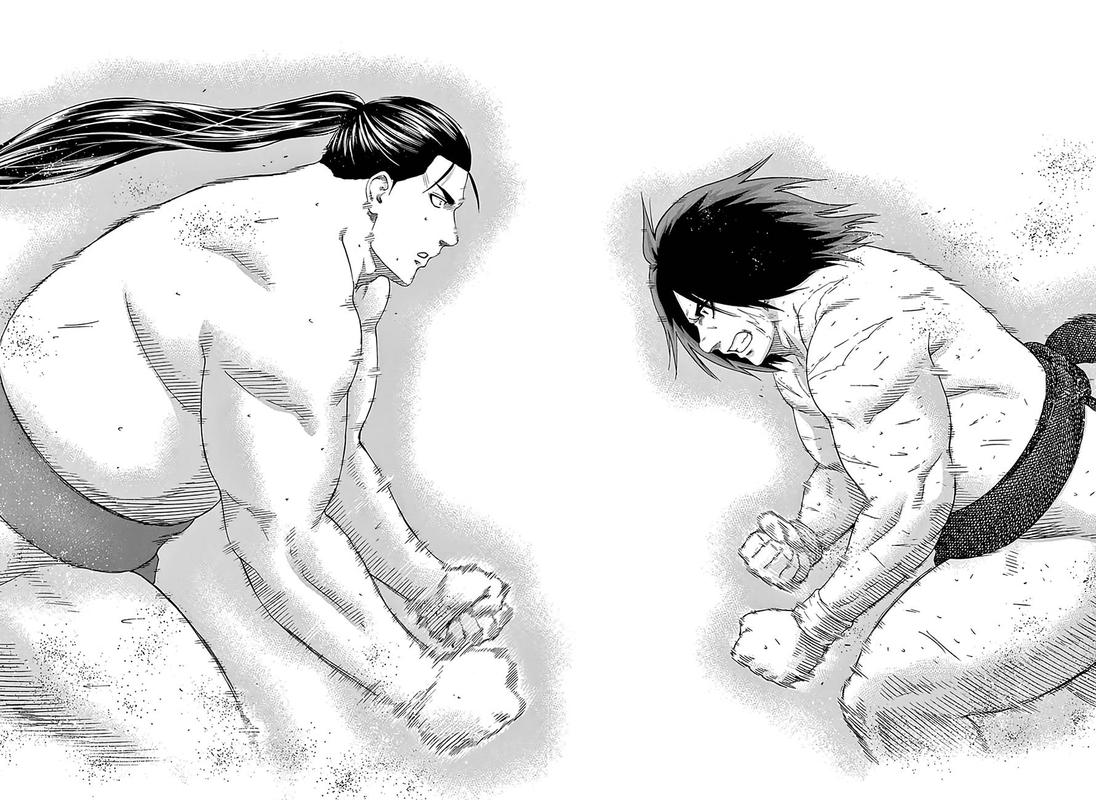 Hinomaru Zumou 220 14