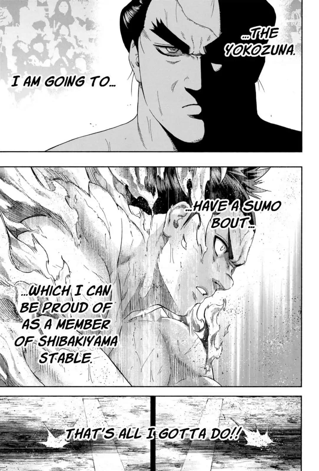 Hinomaru Zumou 245 15
