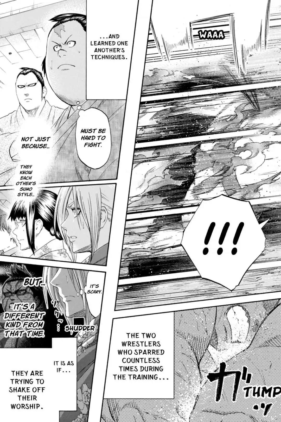 Hinomaru Zumou 245 17