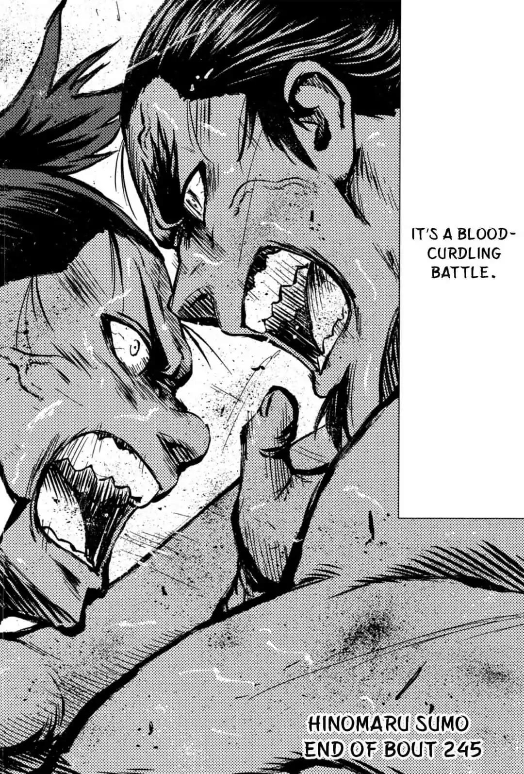 Hinomaru Zumou 245 18