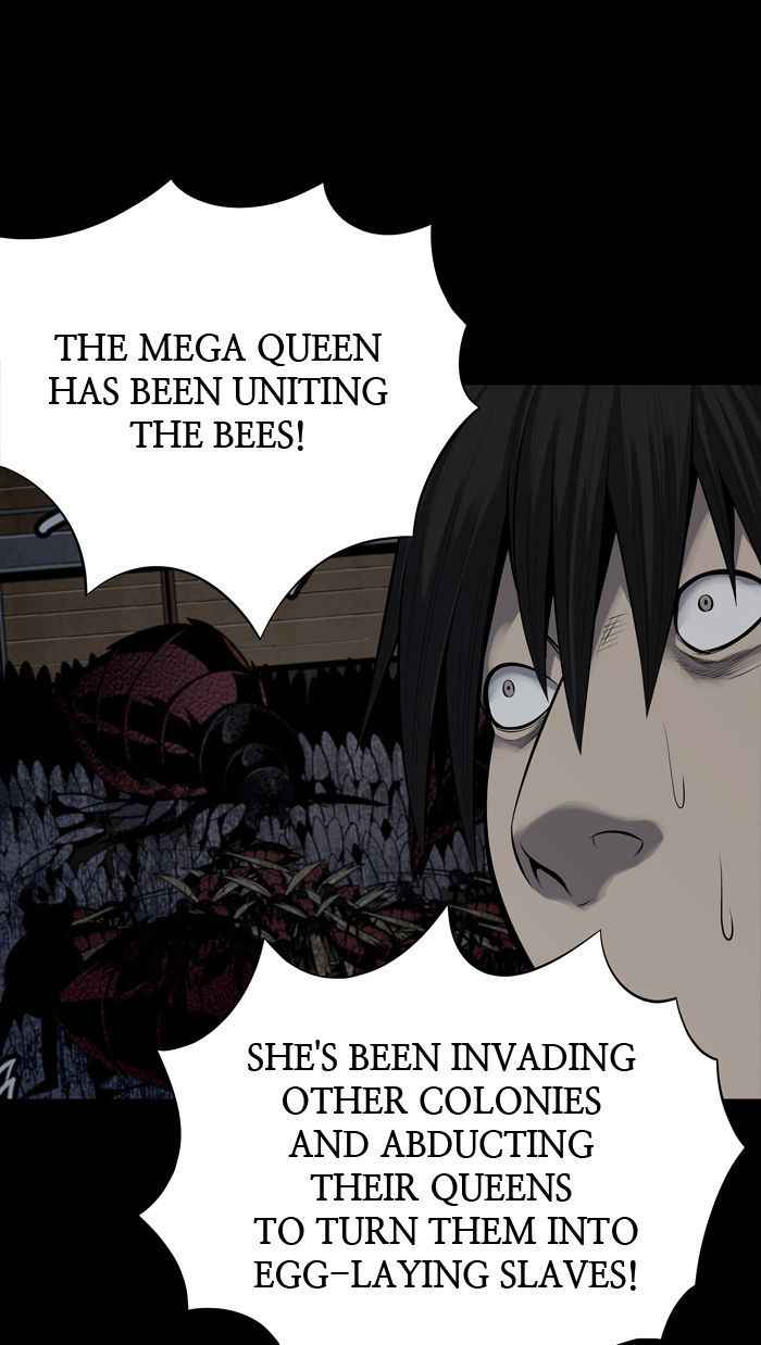 Hive 113 63