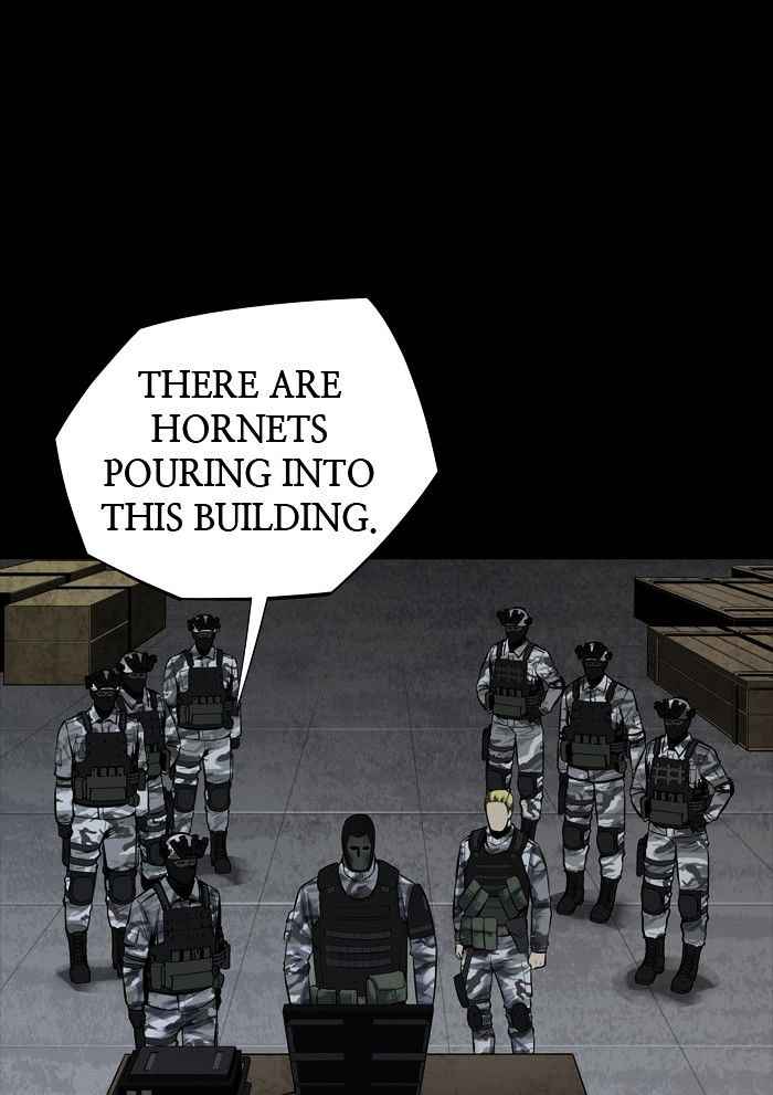 Hive 117 27