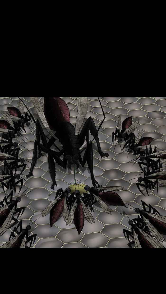 Hive 123 52