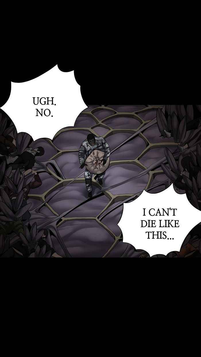 Hive 135 14