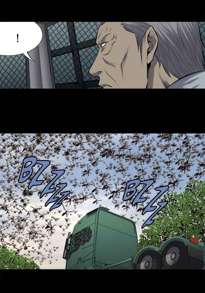 Hive 199 50