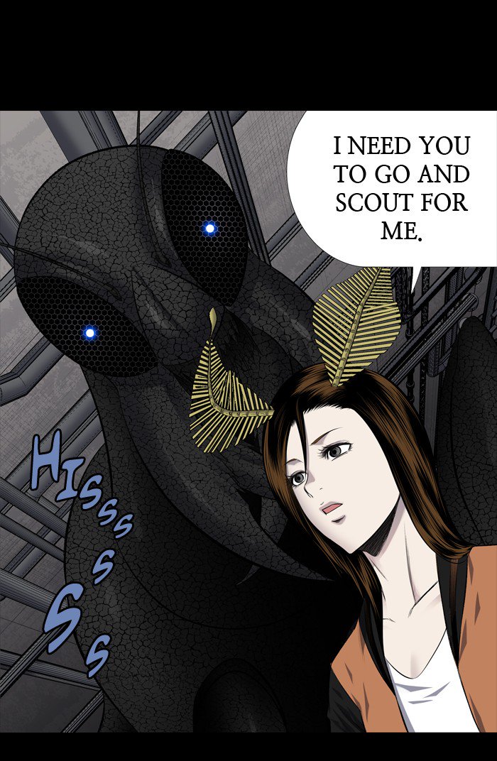 Hive 208 33