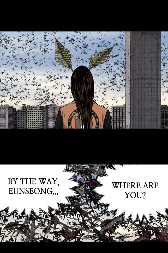 Hive 208 35