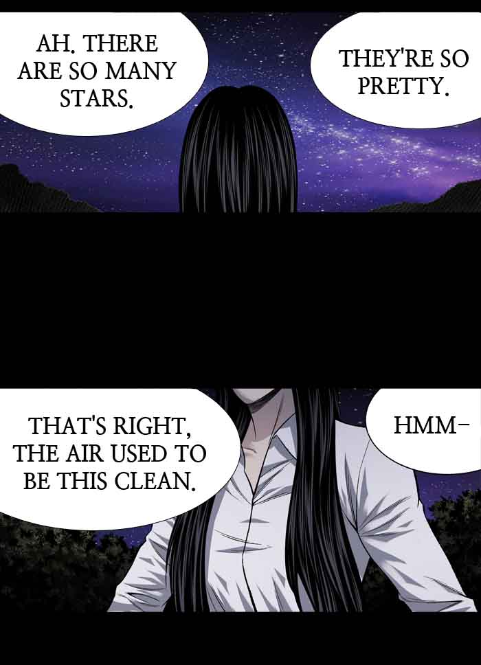 Hive 211 17