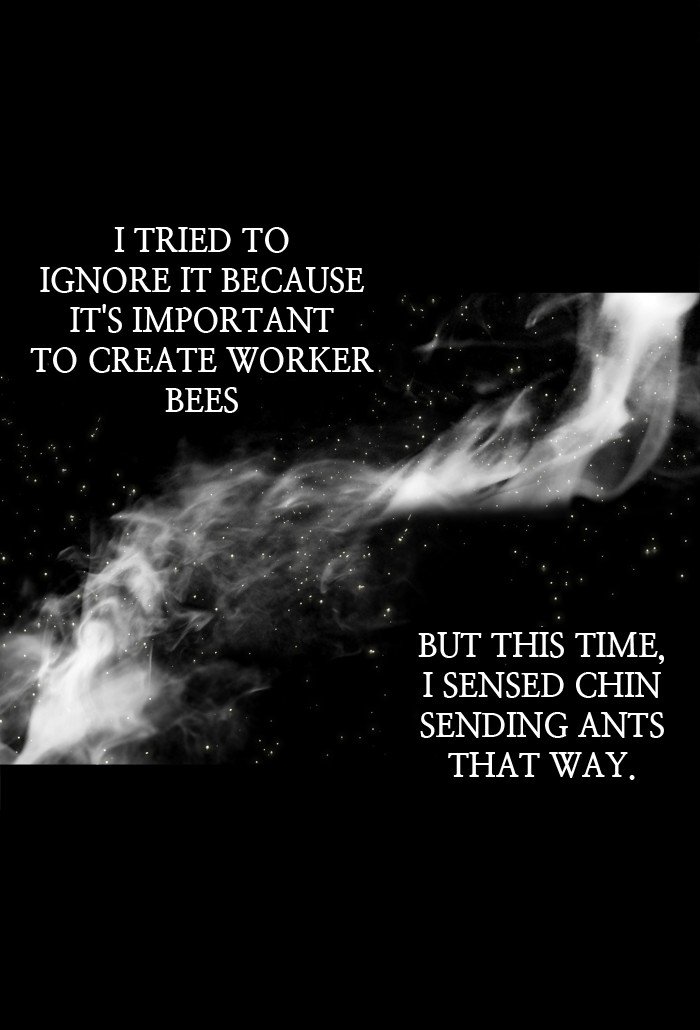 Hive 221 38