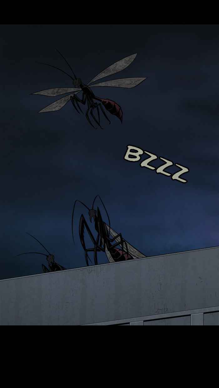 Hive 27 7
