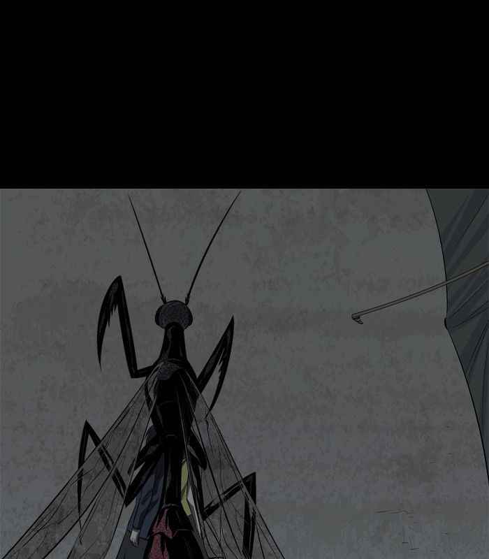 Hive 28 55