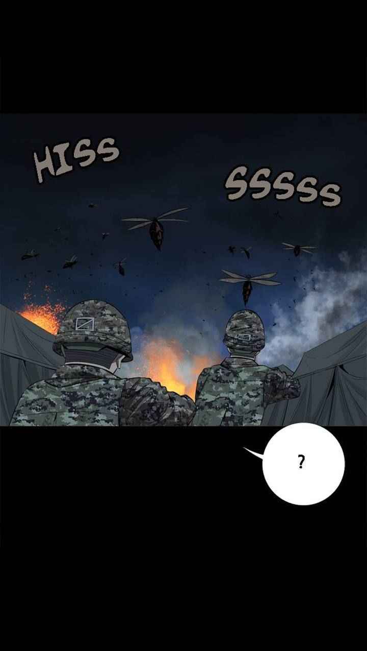 Hive 29 15