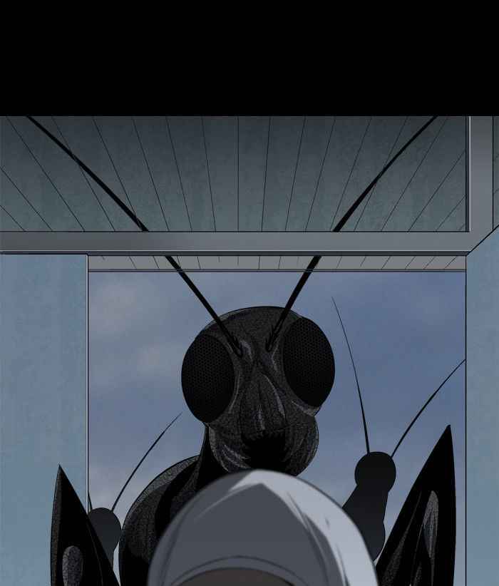 Hive 35 21
