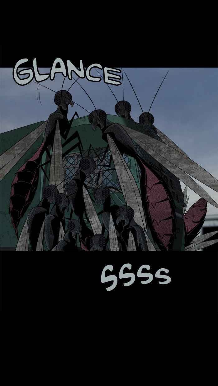 Hive 36 42