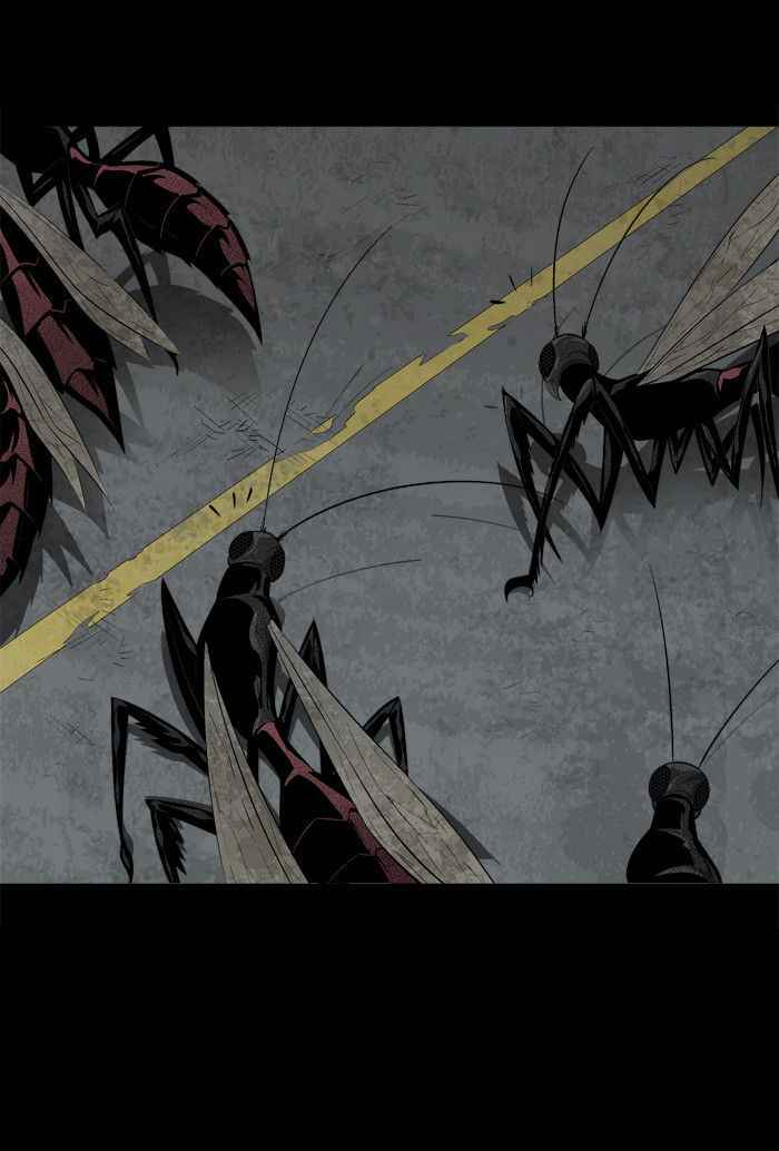 Hive 40 19