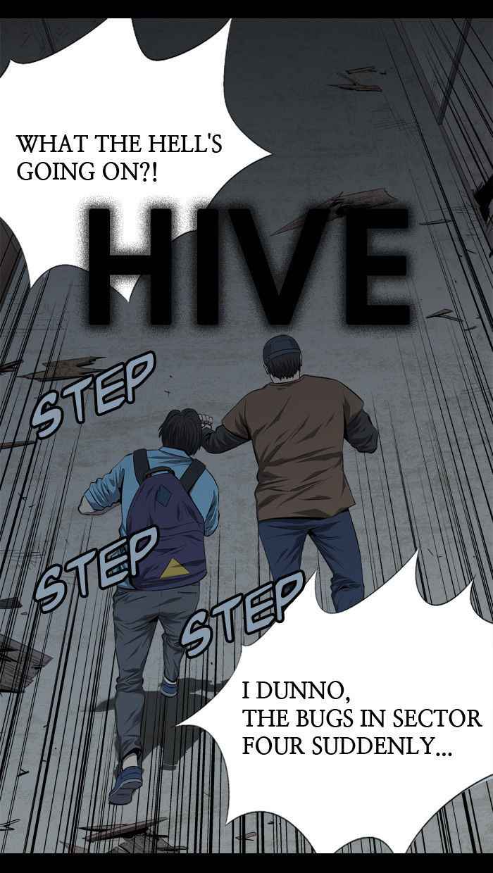Hive 49 1