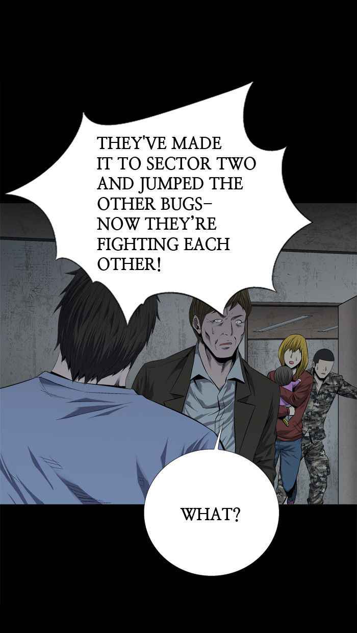 Hive 49 19