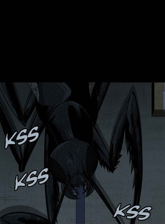 Hive 75 8