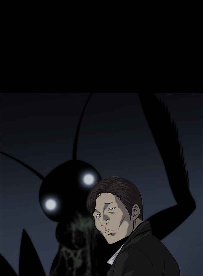 Hive 82 23