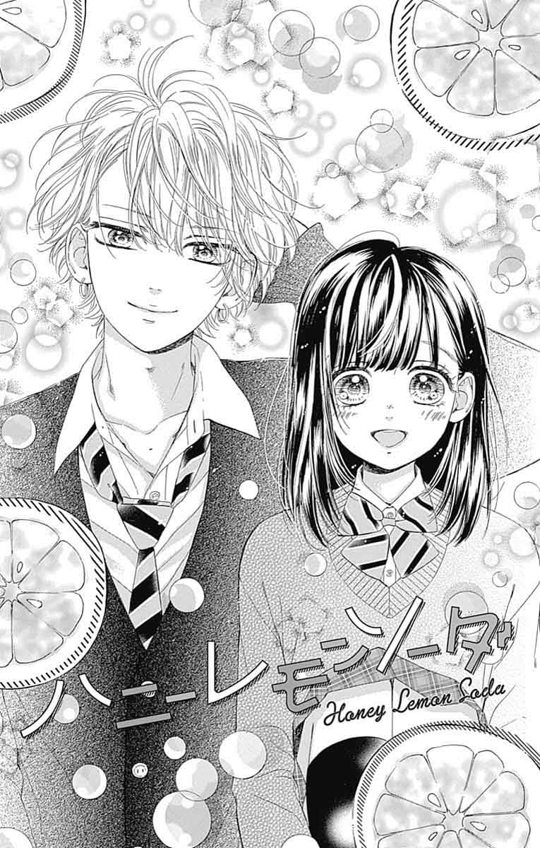 Honey Lemon Soda 28 6