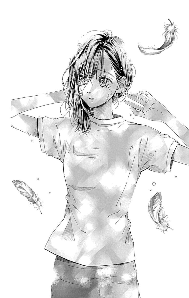 Honey Lemon Soda 38 24