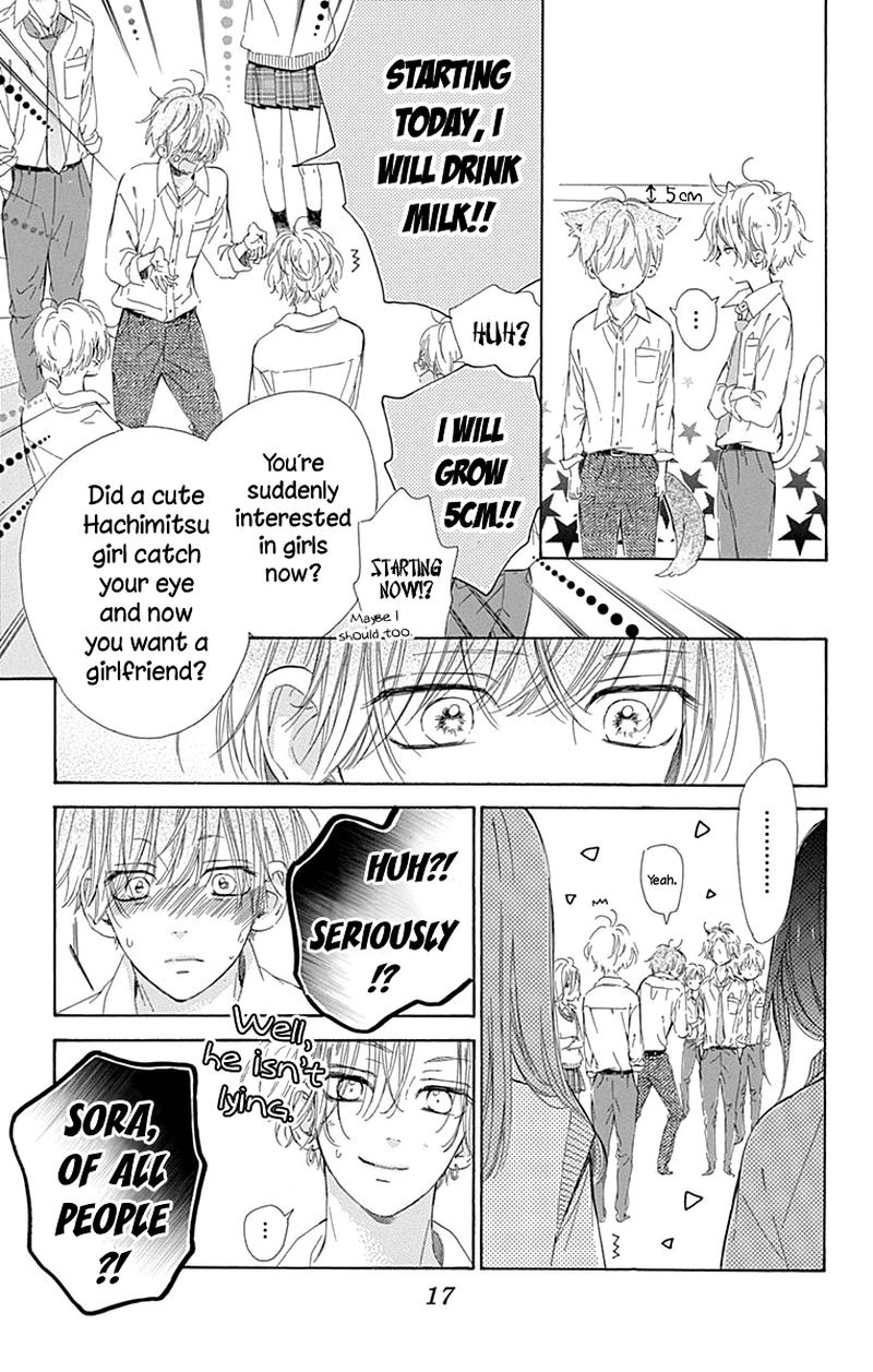 Honey Lemon Soda 48 17