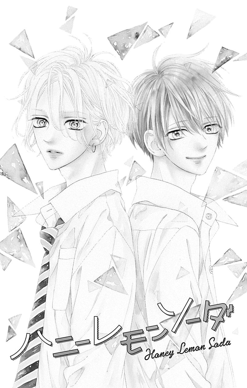 Honey Lemon Soda 48 5