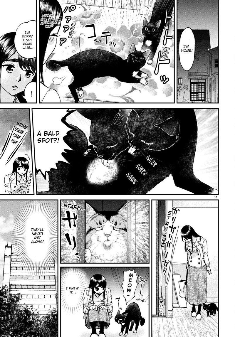 Hosomura San To Neko No Otsumami 13 11