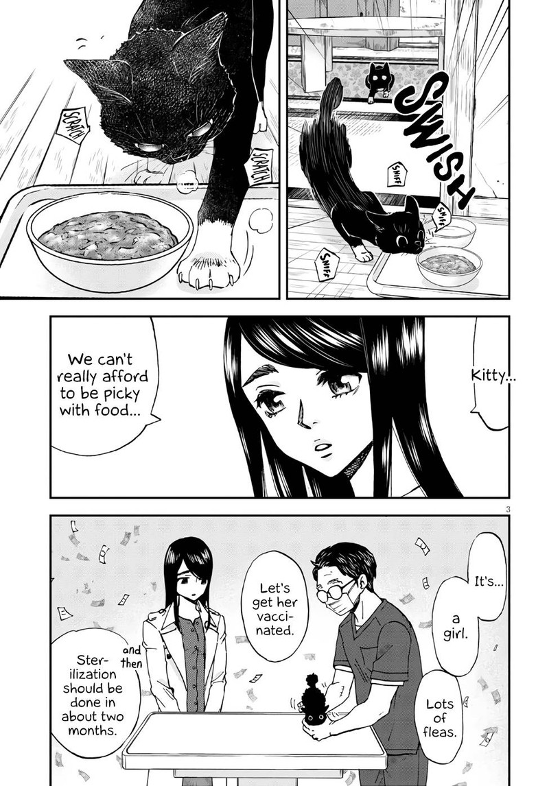 Hosomura San To Neko No Otsumami 2 3