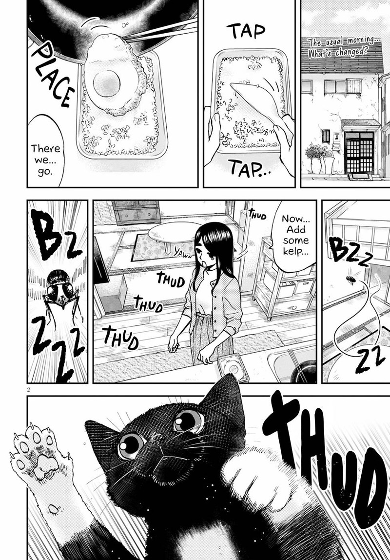 Hosomura San To Neko No Otsumami 3 2