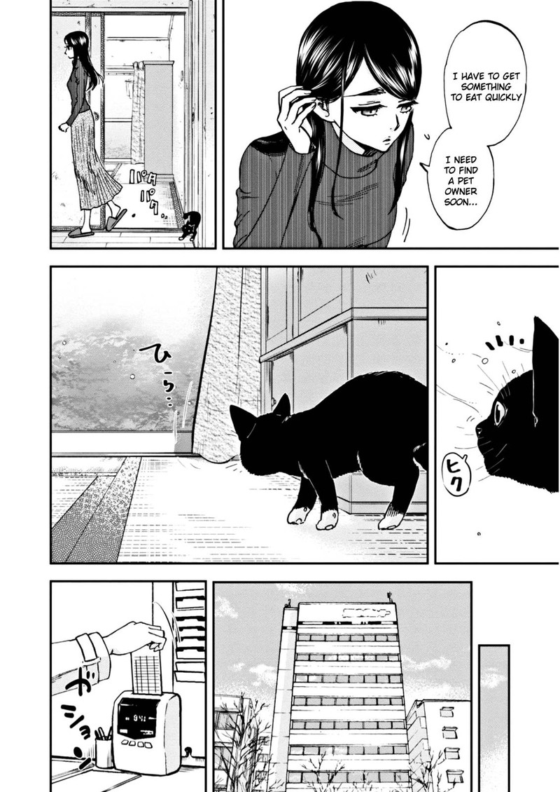 Hosomura San To Neko No Otsumami 4 4